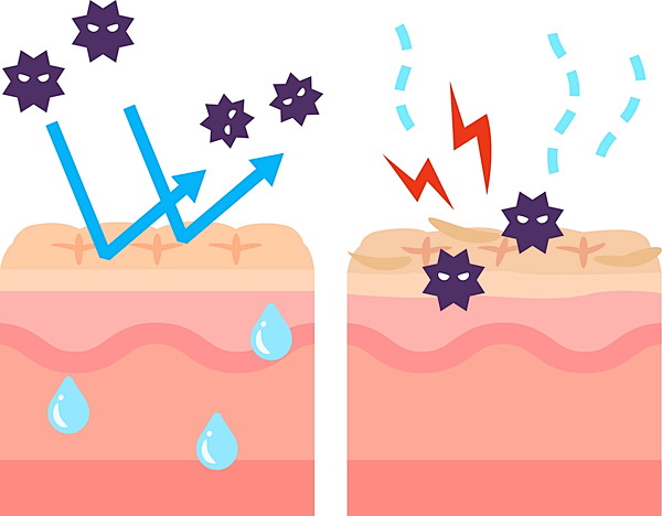 肌のバリア機能の図